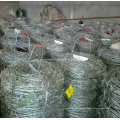 Barbed Wire / Razor Barbed Wire (fabricante especializado)